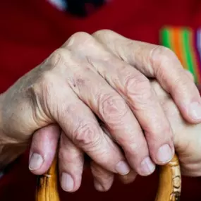 Bild von Senior Helpers