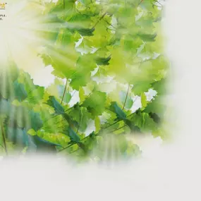 Bild von FirstLight Home Care of McHenry County & Surrounding Area