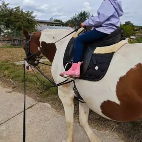 Bild von Marianne's Reiten