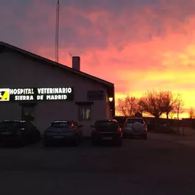 Bild von Hospital Veterinario Sierra de Madrid