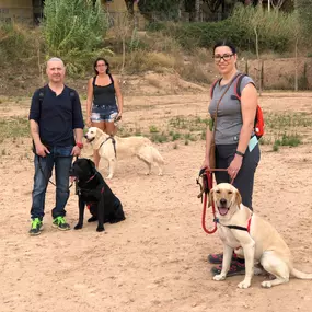 Bild von Mimomimascota del educador canino Nacho Roca