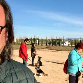 Bild von Mimomimascota del educador canino Nacho Roca