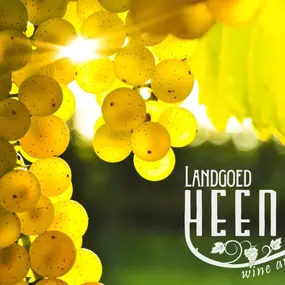 Bild von Landgoed Heenwerf - Heenwerf Winery BV