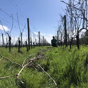 Bild von Landgoed Heenwerf - Heenwerf Winery BV