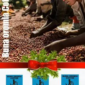 Bild von Buna-Oromia Coffee