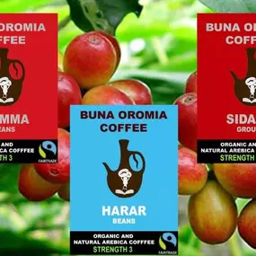 Bild von Buna-Oromia Coffee