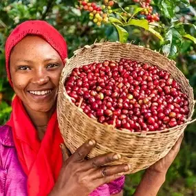 Bild von Buna-Oromia Coffee