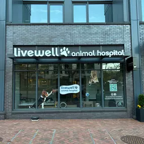 Bild von Livewell Animal Hospital of Chevy Chase