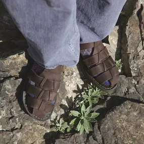 Bild von Jerusalem Sandals