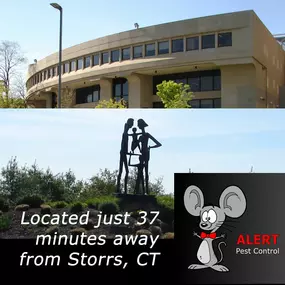 Pest Control in Storrs, CT