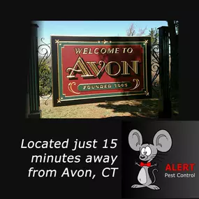 Pest Control in Avon, CT