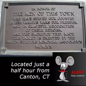 Pest Control in Canton, CT