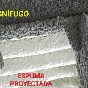 236868519-1-BMuAaTV7nw1741360059526.jpeg