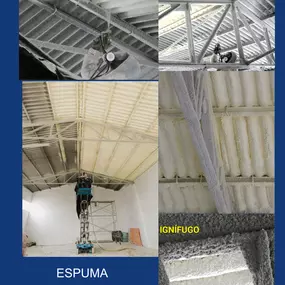 236868519-1-BMuAaTV7nw1741362991048.png
