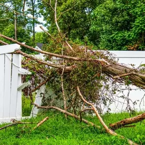 Fence Repair