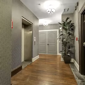 a hallway with two doors and a potted plant at The Knights @ 506 Delaware Apartments, New York