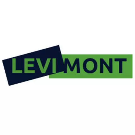 Logo fra Levimont Pressofusione Metalli Leggeri