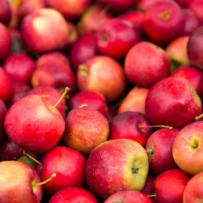 OBST UND GEMÜSE
Reif geerntete und vollaromatische Äpfel von regionalen Obstwiesen, würzig duftende Kräuter, aromatisches Gemüse: Köstlich!

Regionales und saisonales Obst und Gemüse liegen im Trend. Entdecken Sie einen bunten Mix an gesunden Vitaminen! Saisonal, leicht, lecker und immer öfter in bester Bio-Qualität. Täglich bestücken wir unser Obst- und Gemüse-Sortiment mit neuer Ware. Freuen Sie sich auf Leckerbissen aus der Heimat und exotische Spezialitäten aus Übersee. Sie haben die Wahl. U
