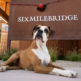 Bild von Sixmilebridge Winery