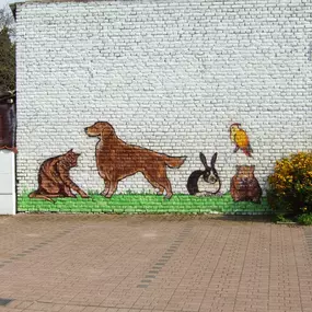 Bild von Tierarzt Möhnle Kehl, Fachtierärztliches Zentrum für Kleintiere Kehl-Hanauerland