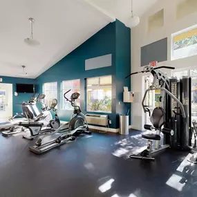 the gym at the owners home