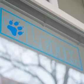 Bild von Tierphysiotherapie Berlin, Physiotherapie für Hunde und Katzen Uwe Lenk