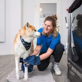 Bild von Tierphysiotherapie Berlin, Physiotherapie für Hunde und Katzen Uwe Lenk