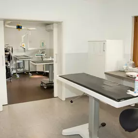 Bild von Kleintierpraxis am Loderhof Sulzbach-Rosenberg Tierarzt Tierklinik Überweisungspraxis Veterinarian Veterinary hospital