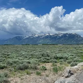 Bild von Teton Flats Apartments