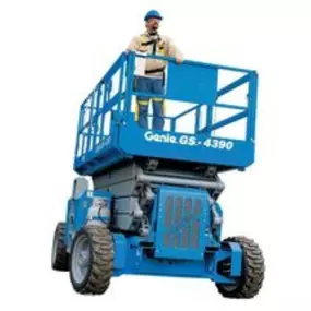 Bild von Wheeler Cat Rental Store