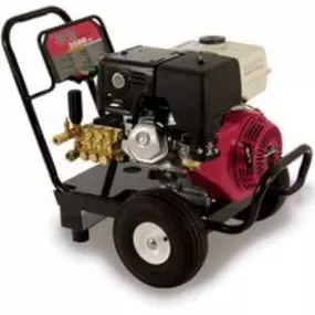Bild von Wheeler Cat Rental Store