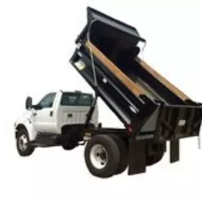 Bild von Wheeler Cat Rental Store