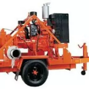 Bild von Wheeler Cat Rental Store