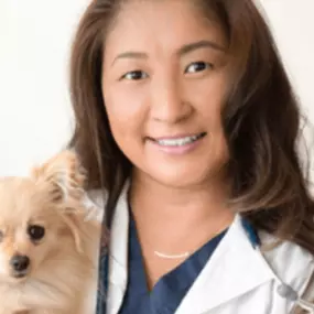 Dr Yuka Nakamura - Owner Animal Care Hospital of Walnut Creek