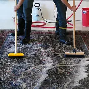 Bild von Dirt Doctor Carpet Cleaning LLC