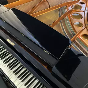 Bösendorfer 170
