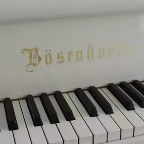 revidierte Bösendorfer 170