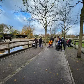 Unsere täglicher Spaziergang um in Bewegung zu bleiben und verschiedene Reize anzuregen.