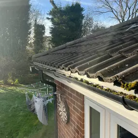 Bild von Apex Roof Cleaning