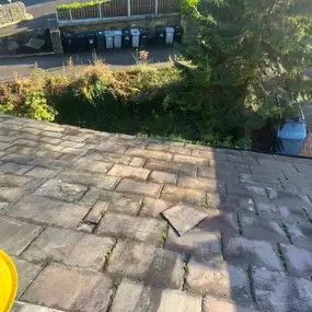 Bild von Apex Roof Cleaning