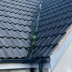 Bild von Apex Roof Cleaning