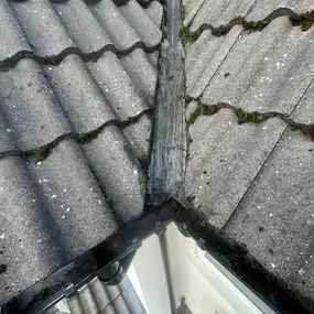 Bild von Apex Roof Cleaning