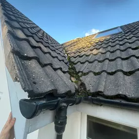 Bild von Apex Roof Cleaning