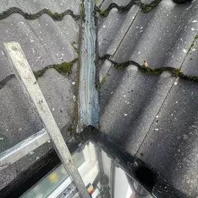 Bild von Apex Roof Cleaning