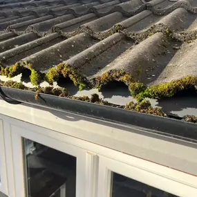 Bild von Apex Roof Cleaning