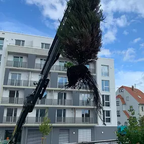 Bild von Stein und Garten GmbH