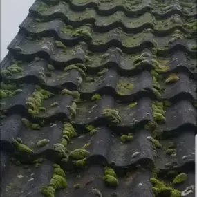 Bild von Top Level Roofing And Building Solutions LTD