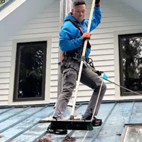 Bild von Johnny Tsunami Exterior Cleaning