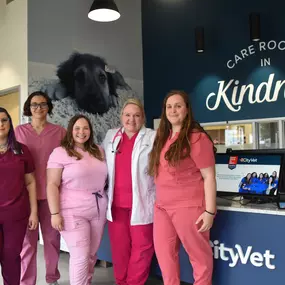 CityVet | Brushy Creek team at front desk