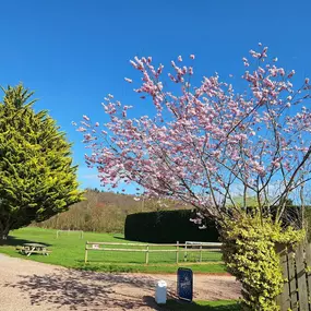 Bild von Haywood Farm Caravan and Camping Park